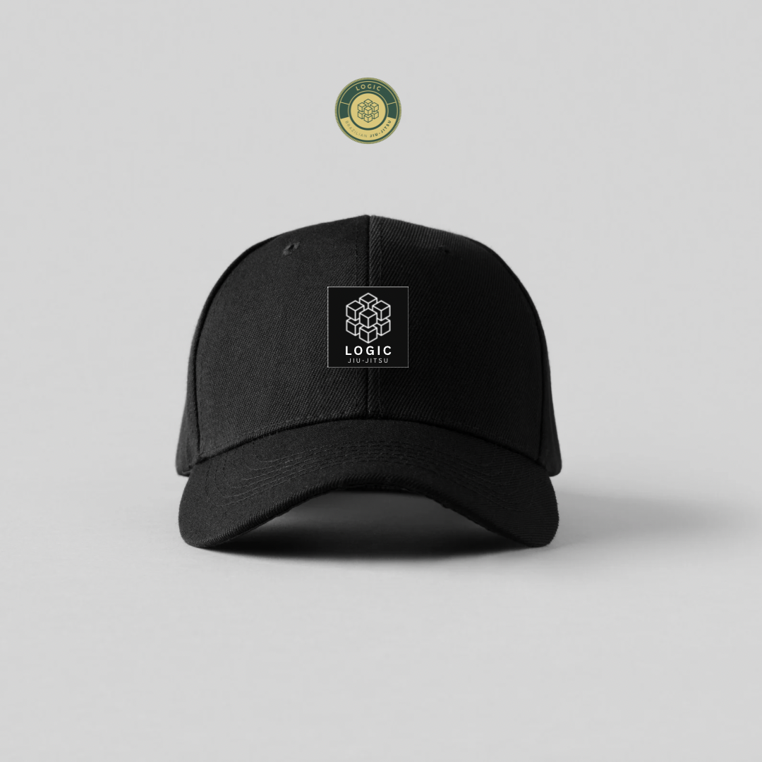 2026 Snap Back Hats – logicjjstore